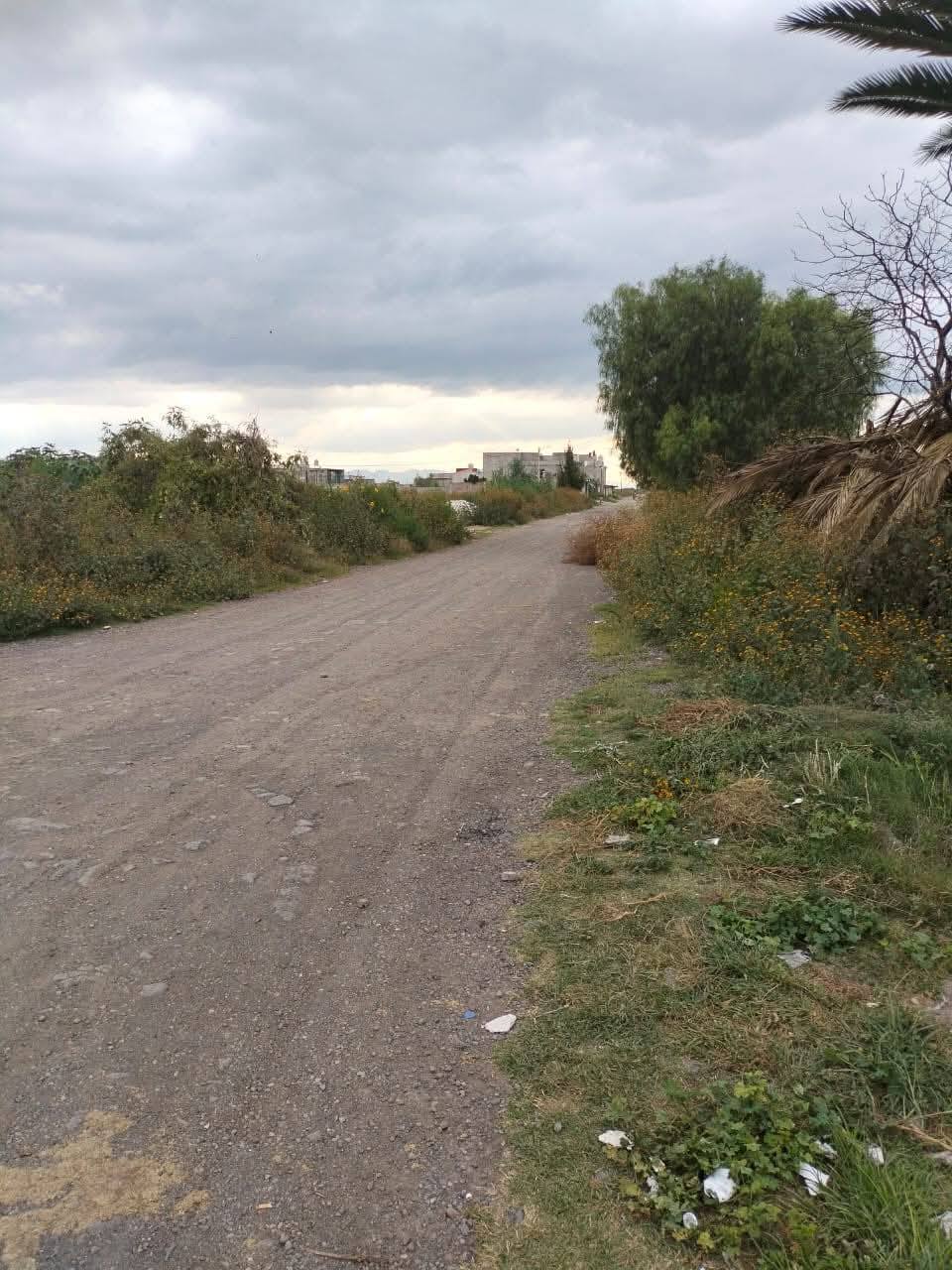 Acceso al terreno